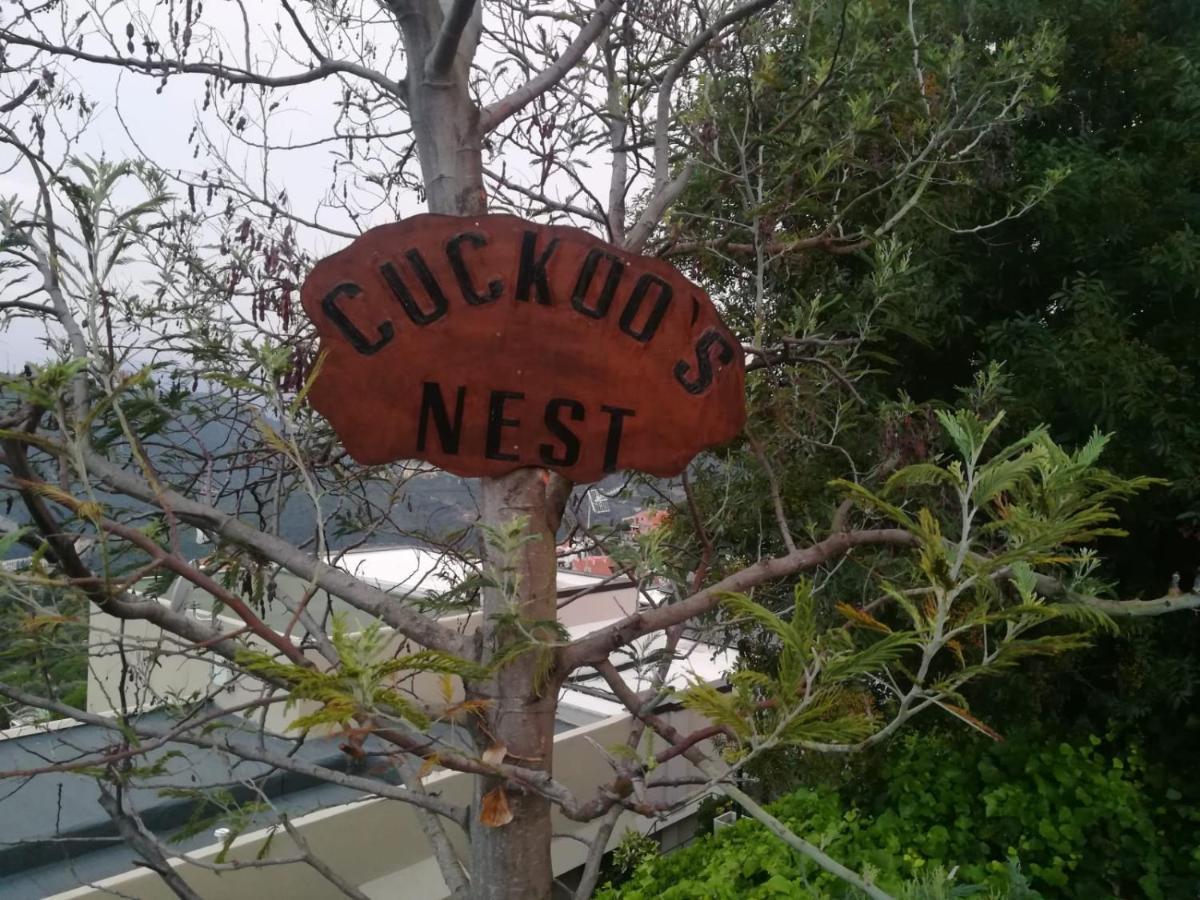 Villa Cuckoo'S Nest 菲纳莱利古雷 外观 照片